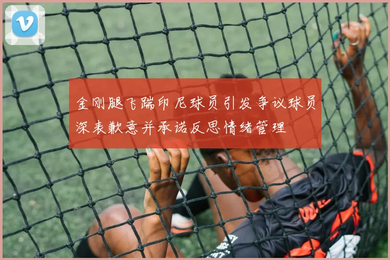 金刚腿飞踹印尼球员引发争议球员深表歉意并承诺反思情绪管理