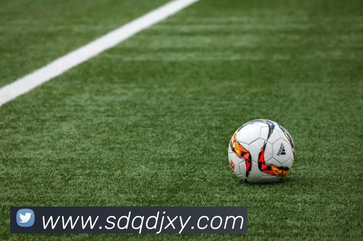 米兰官方网站入口平台生态图